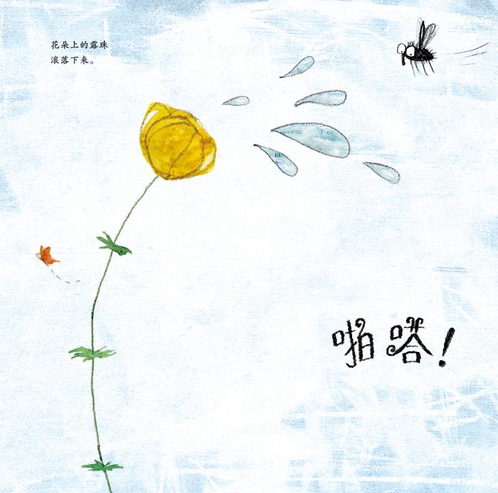 放屁的苍蝇 (07),绘本,绘本故事,绘本阅读,故事书,童书,图画书,课外阅读